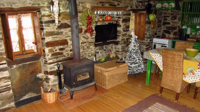 Salamandra e cesto da lenha